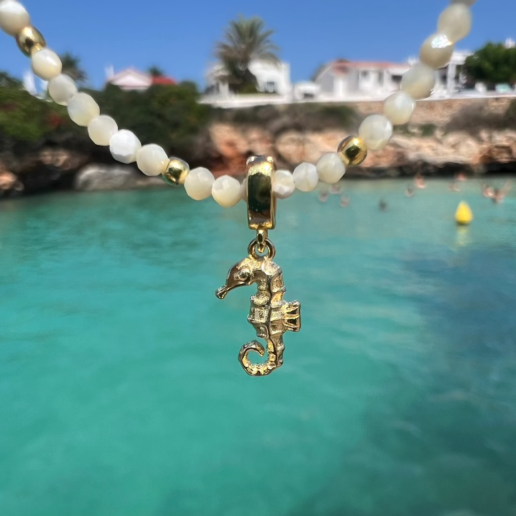 CHARM SEAHORSE