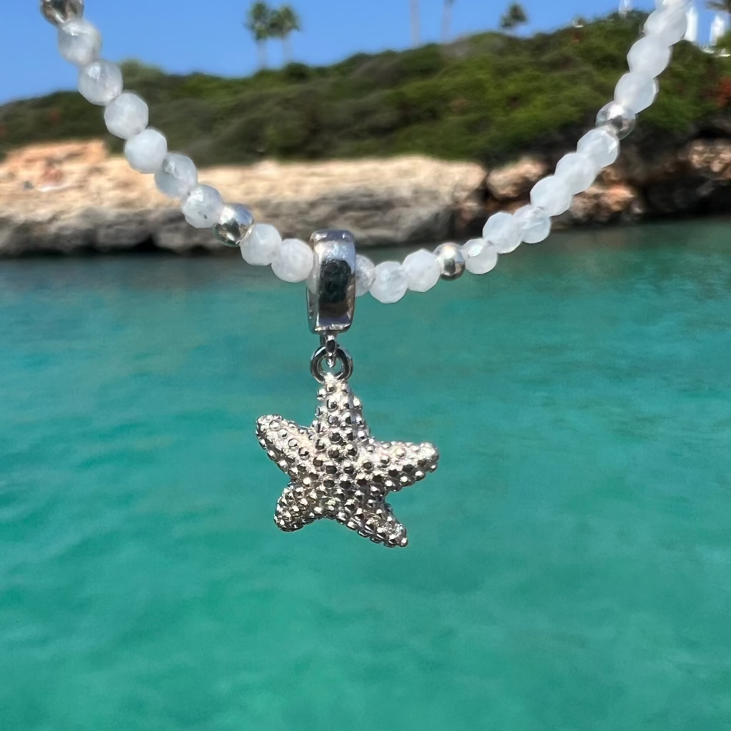 ENCANT ESTRELLA DE MAR