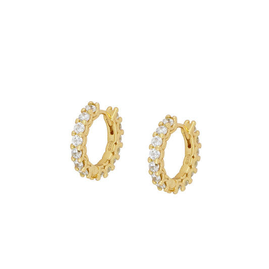 PENDIENTES COLI