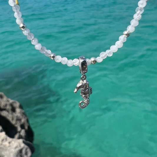 CHARME SEAHORSE