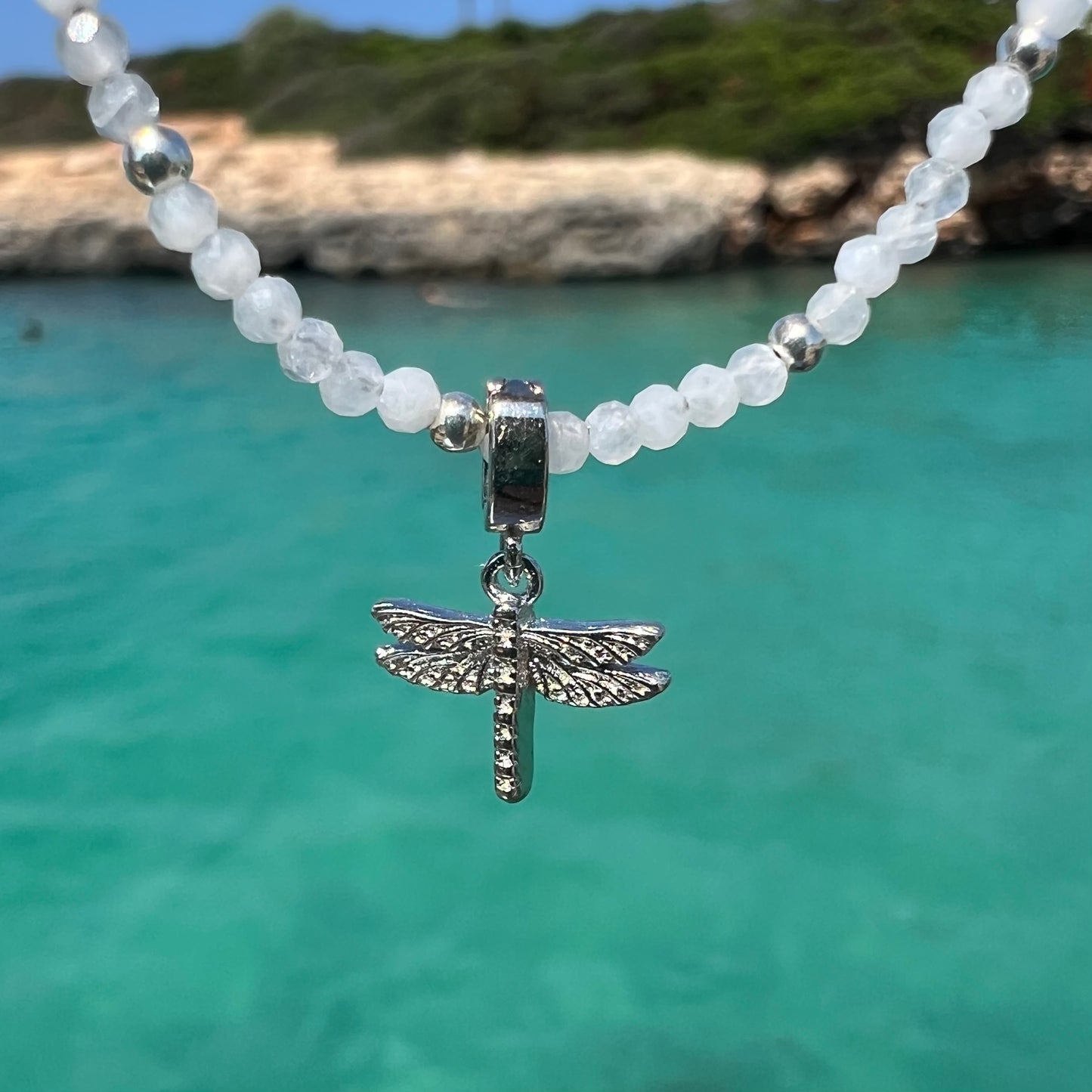 CHARM DRAGONFLY