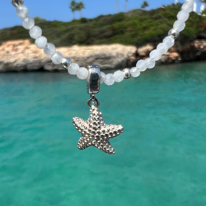 CHARM STARFISH