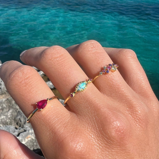 ANILLO PRIN