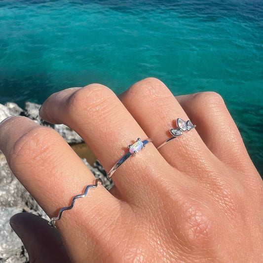 ANILLO DIN