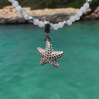 CHARM STARFISH